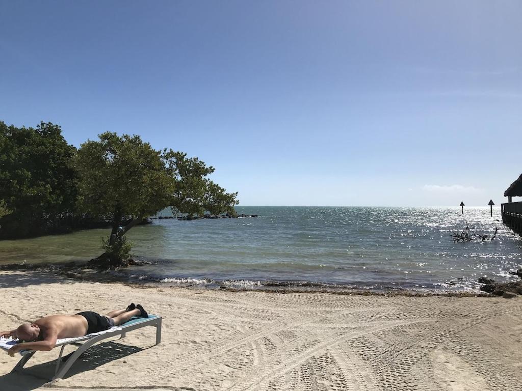 Tropical Daze Oceanfront Paradise 타베르니에 외부 사진